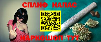 индика Тара