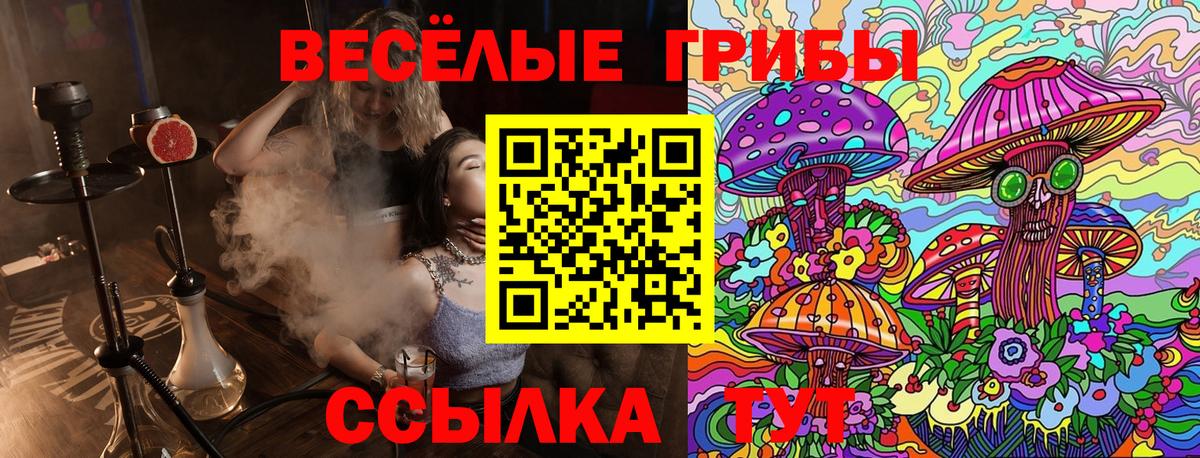 Псилоцибиновые грибы Magic Shrooms Новошахтинск