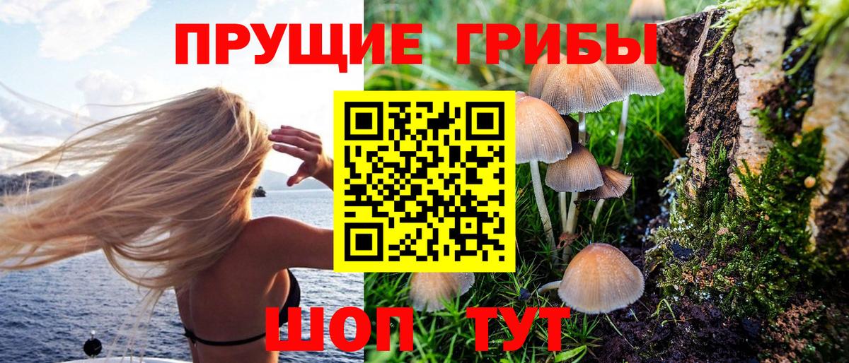 Псилоцибиновые грибы мухоморы  Псилоцибиновые грибы Psilocybine cubensis  Вход с VPN  Новошахтинск 